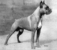 /album/%cf%80%ce%b7%ce%b3%ce%ae-%3a-boxernews-forumcommunity-net/%ce%b1%ce%bd%cf%84%ce%af%ce%b3%cf%81%ce%b1%cf%86%ce%bf-%282%29-%ce%b1%cf%80%cf%8c-1900132-628284313885969-681598256-n-jpg/